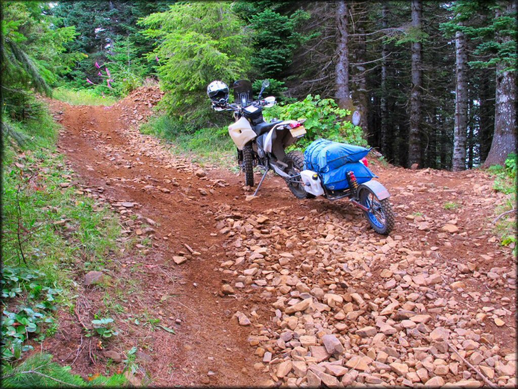 Nicolai Mountain OHV Area Trail