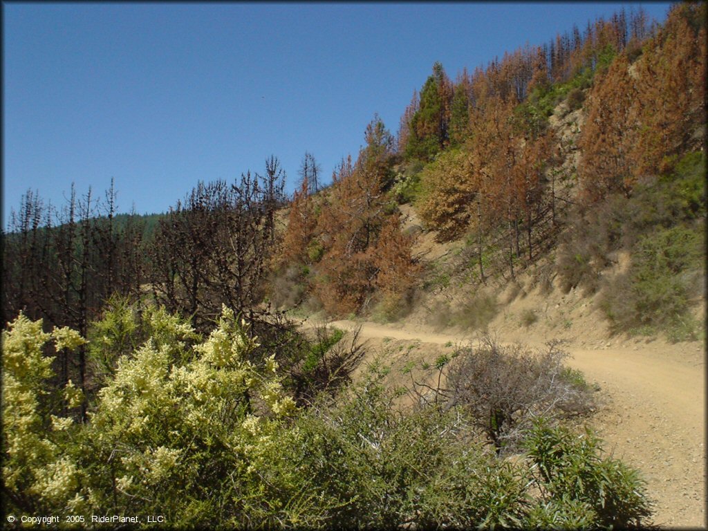 A side view of offroad trail.