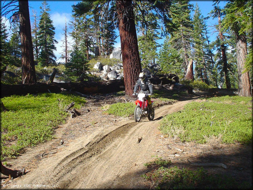 Honda CRF Motorcycle at Genoa Peak Trail