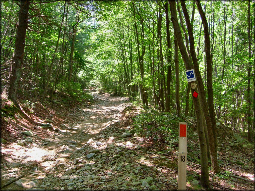 A close up photo of rocky ATV trail with signage on ground and trees.