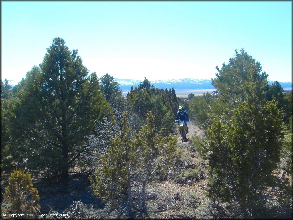 OHV at Ward Charcoal Ovens State Historic Park Trail