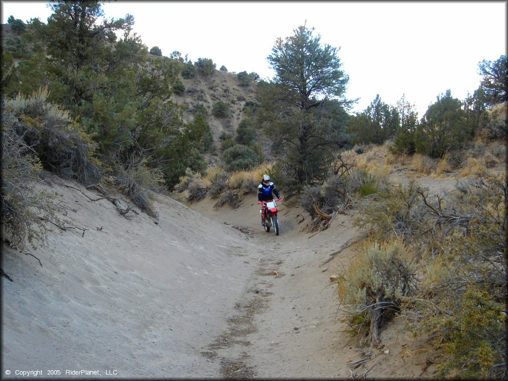 Honda CRF Motorbike at Mount Seigel OHV Trails