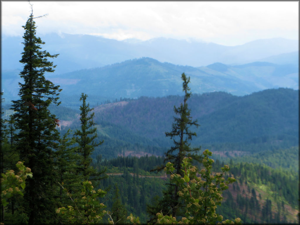 Fourth of July Pass ATV Trails