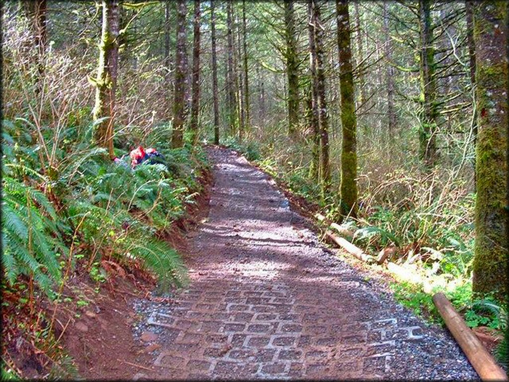 A close up photo of an ATV trail with concrete pavers and gravel.