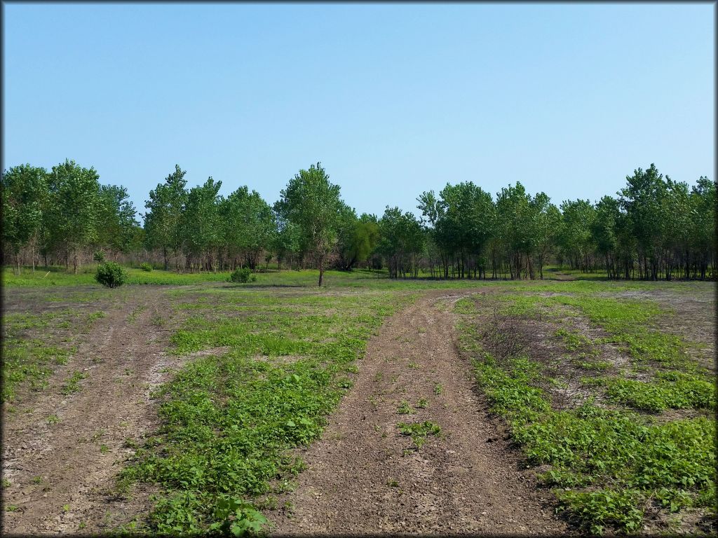 Otter Creek ATV Area Trail