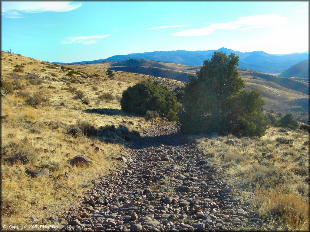 A trail at China Springs Trail