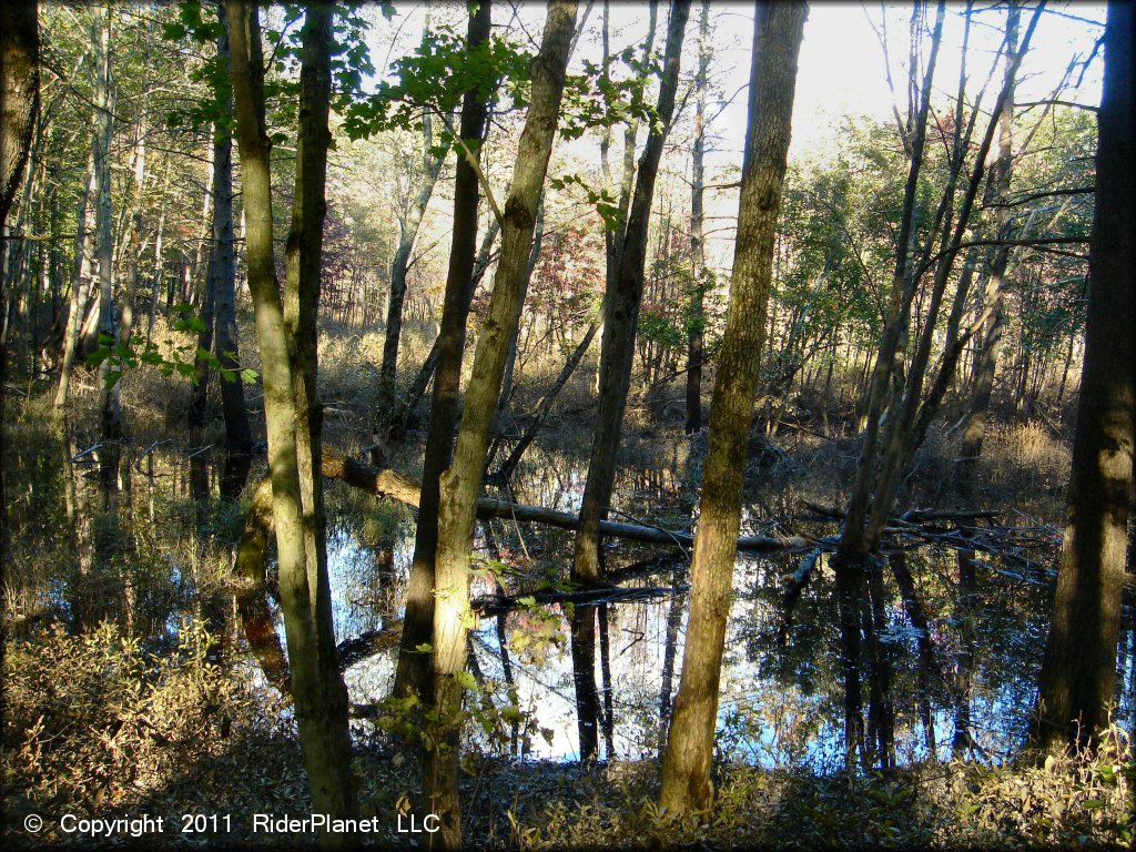 Scenic view of Hodges Village Dam Trail