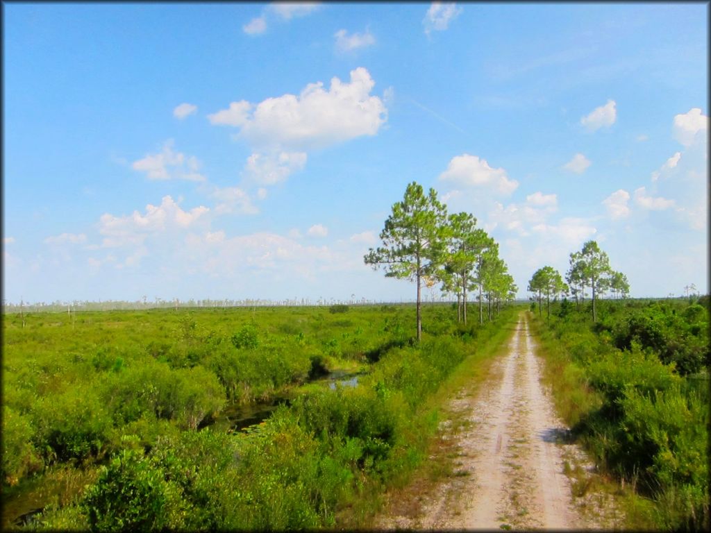 Mallory Swamp ATV Trail