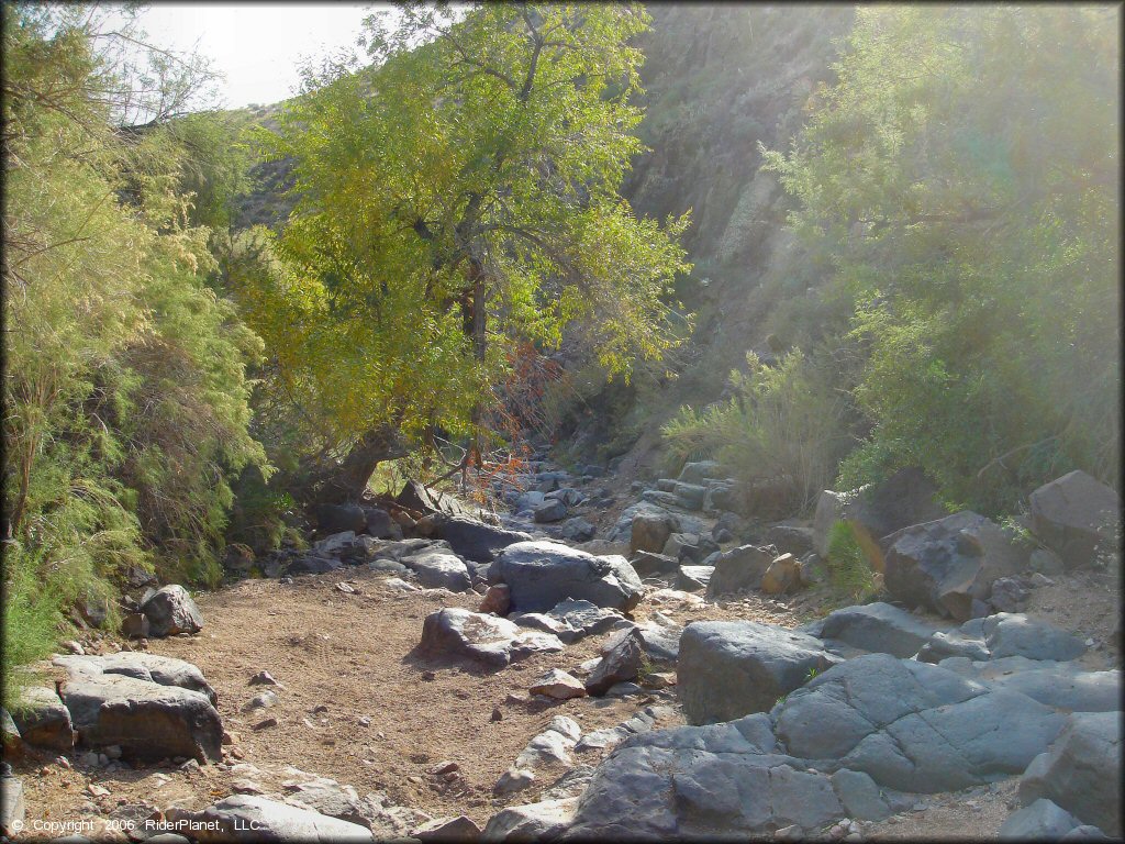 Terrain example at Log Corral Canyon Trail