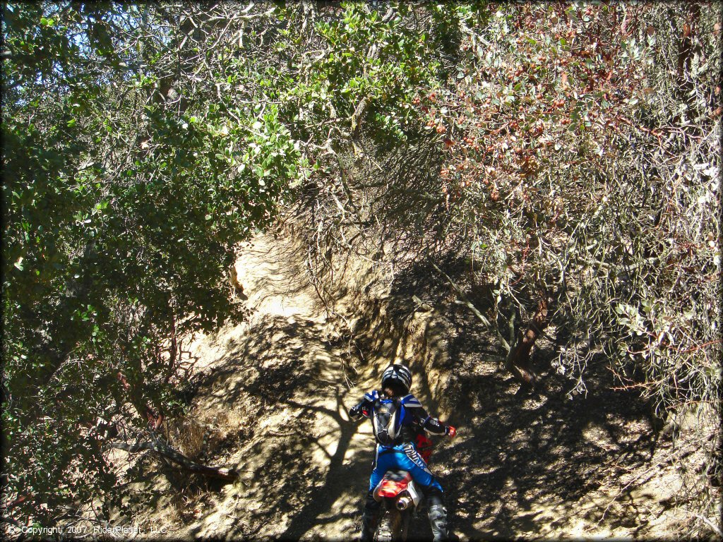 Honda CRF Trail Bike at Santa Clara County Motorcycle Park OHV Area