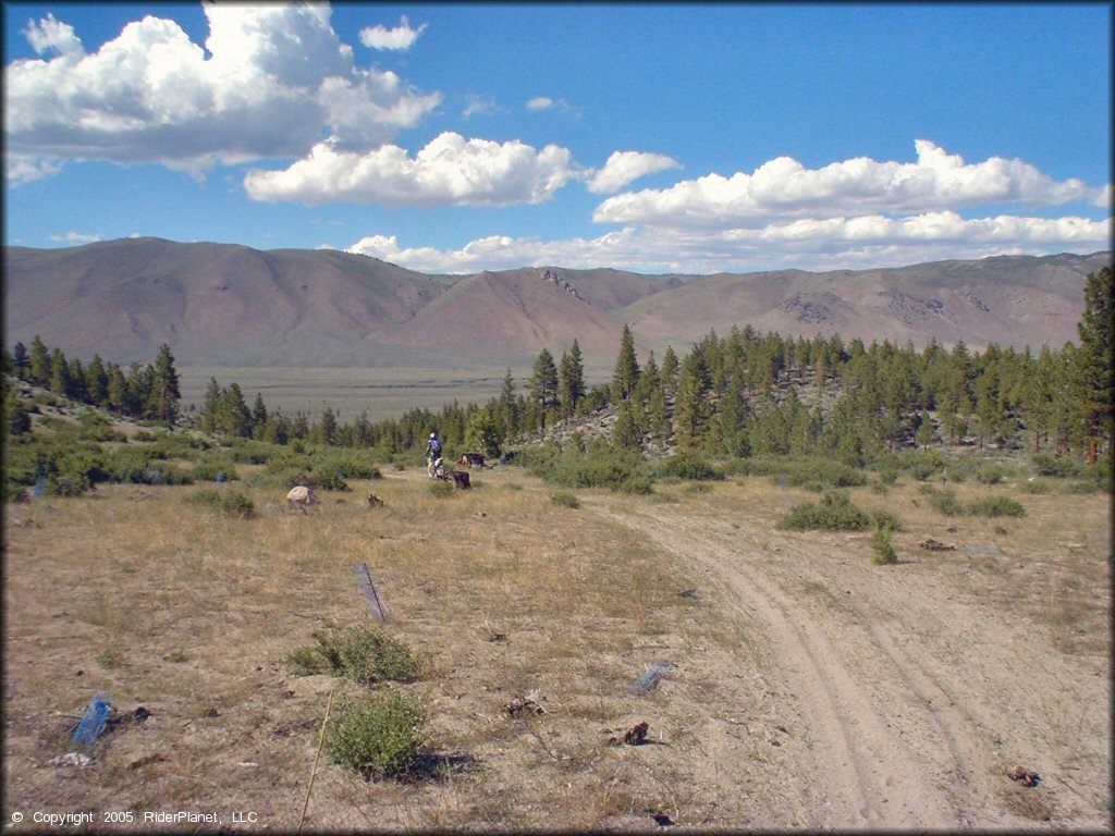 Dirt Bike at Mammoth Lakes Trail