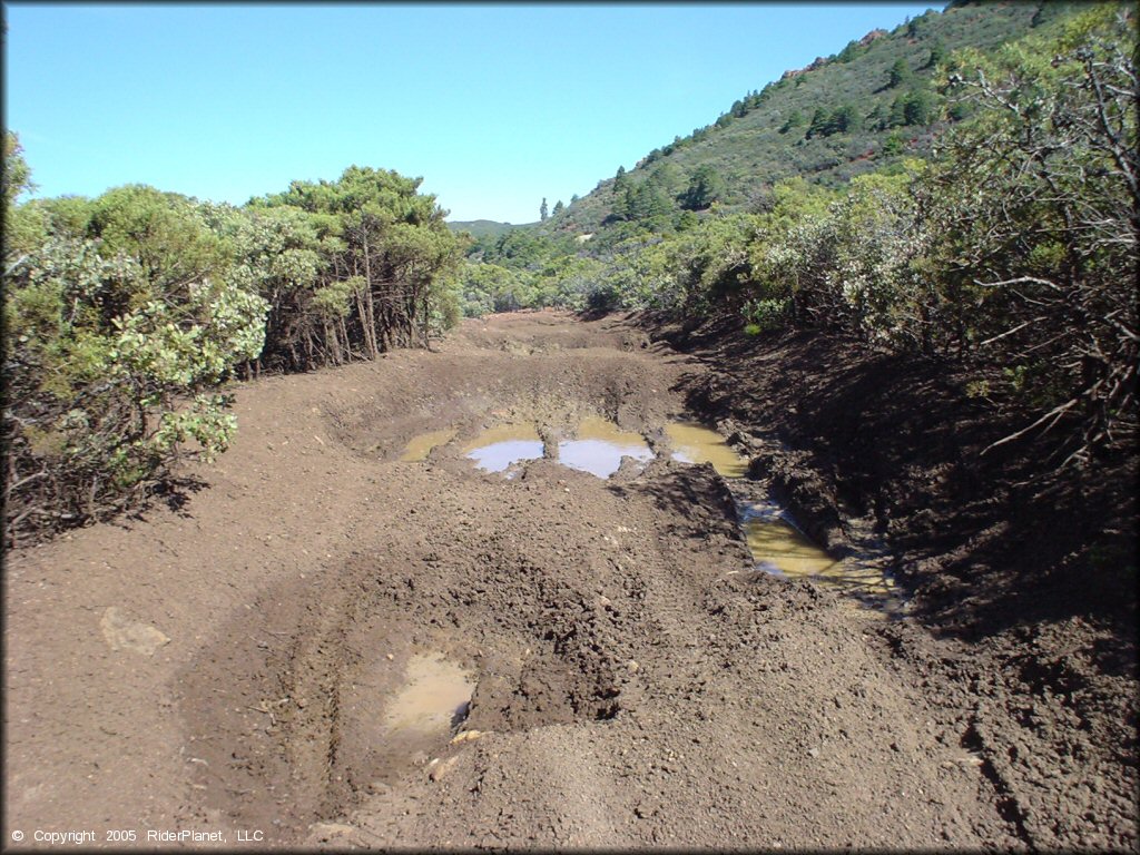 A trail at South Cow Mountain Trail