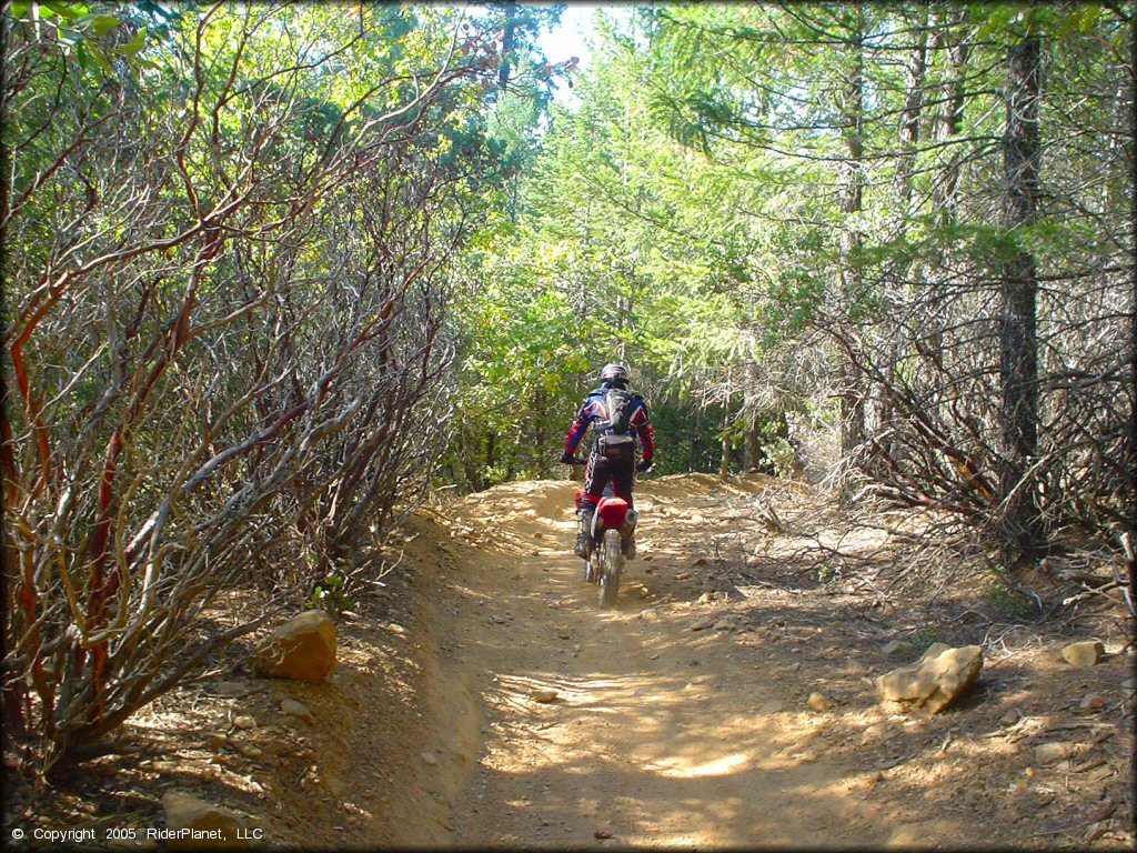 Honda CRF Motorbike at Georgetown Trail