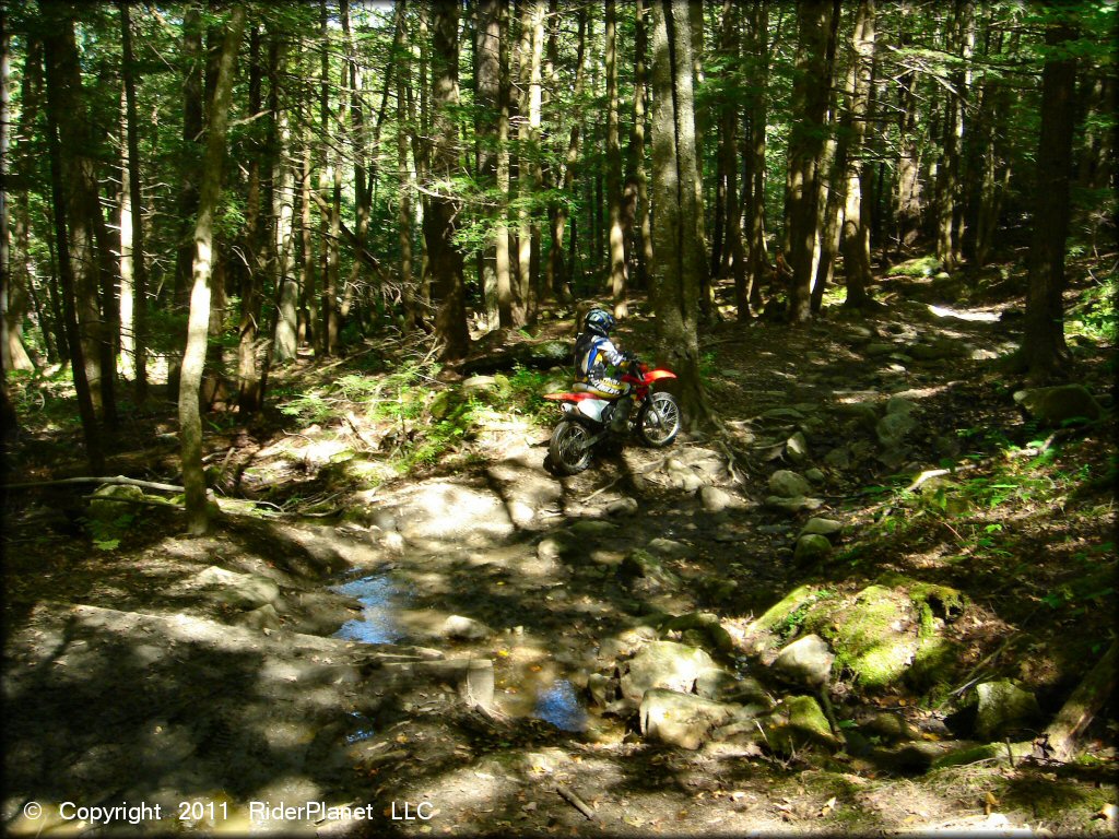 Honda CRF Motorcycle at Beartown State Forest Trail