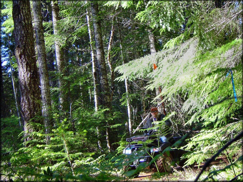 Huckleberry Flats OHV Trails