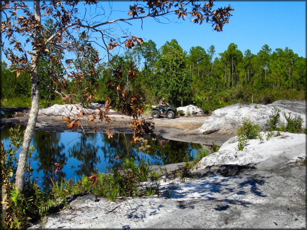 Florida Cracker Ranch Trail