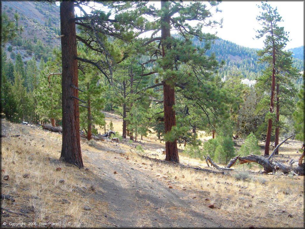 Example of terrain at Leviathan Recreation Area Trail