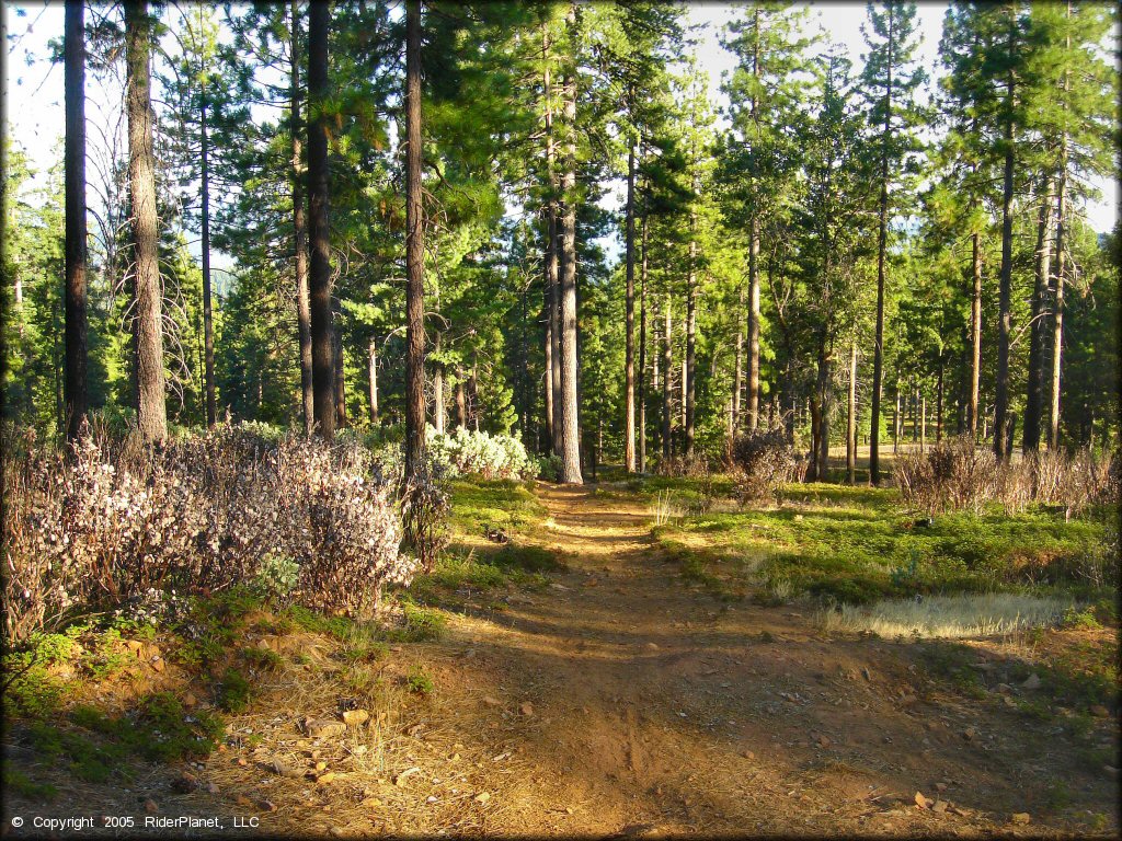 A trail at Interface Recreation Trails
