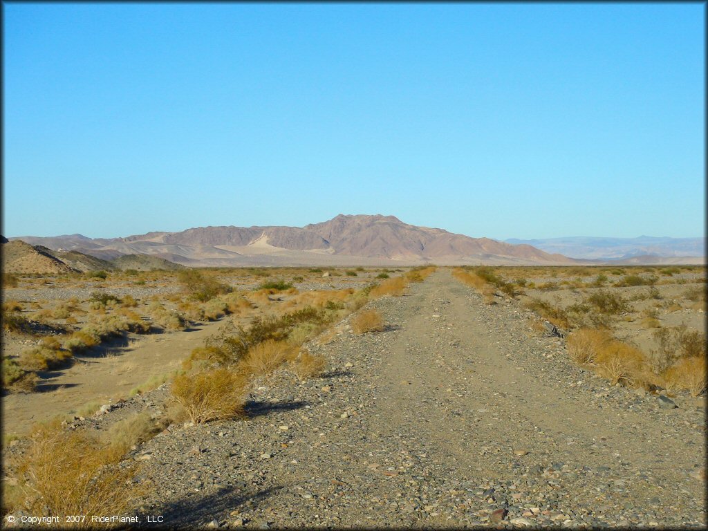 A trail at Rasor OHV Area