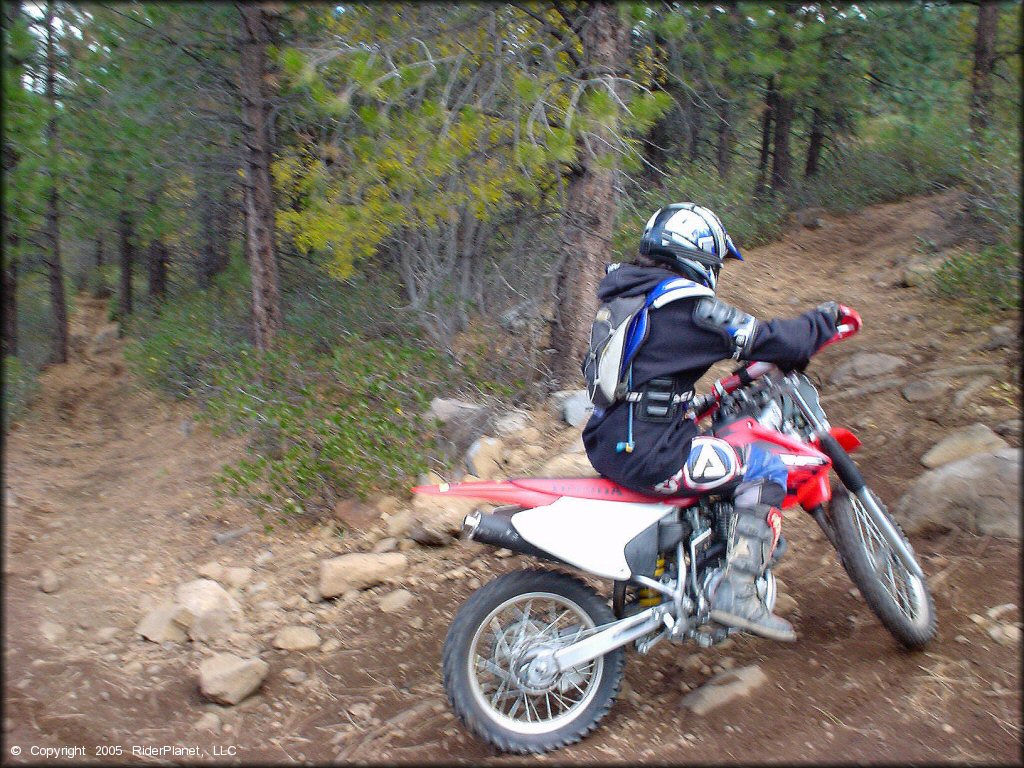 Honda CRF Dirt Bike at Prosser Hill OHV Area Trail