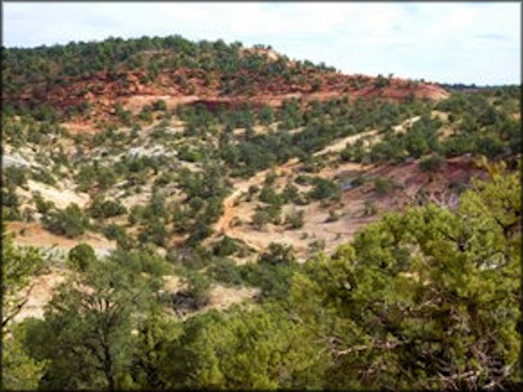 Hog Canyon Trail System