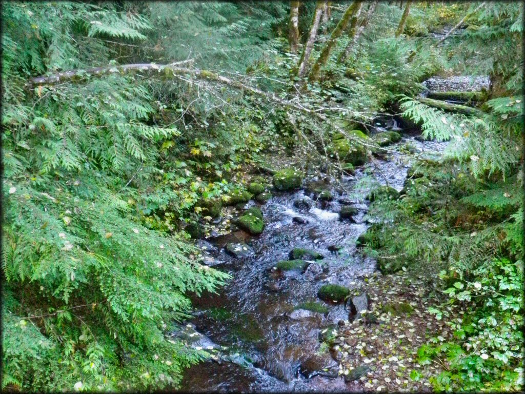 LaDee Flats OHV Area Trail