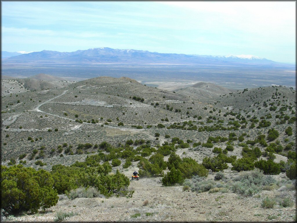 Scenery from Blue Mountain Trail