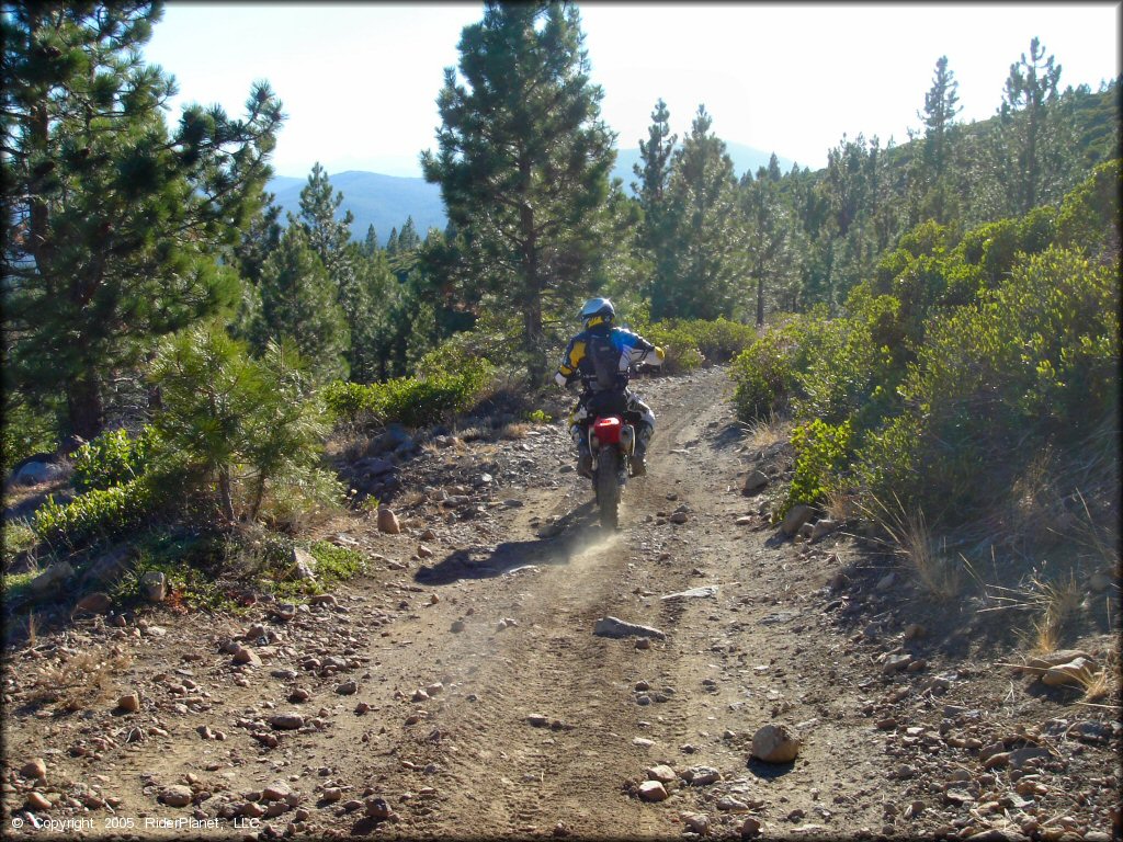 Honda CRF Dirtbike at Billy Hill OHV Route Trail