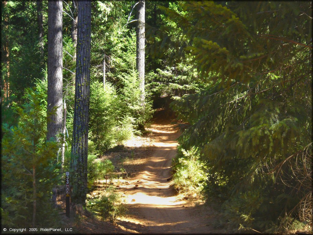 Terrain example at Gold Note Trails