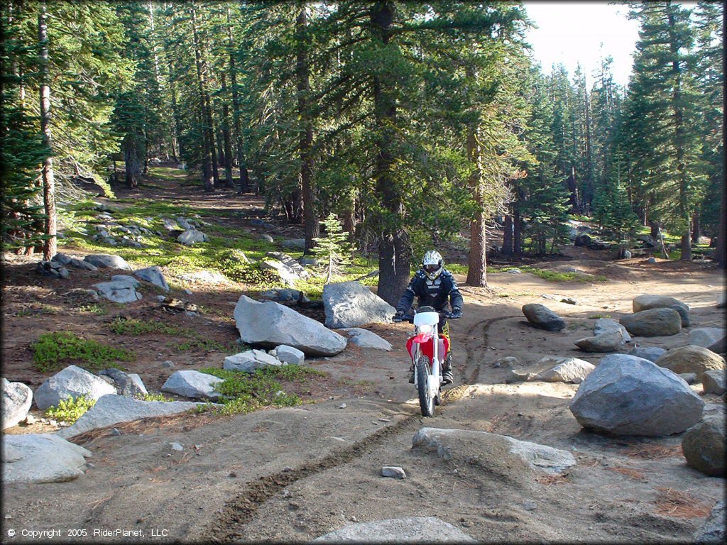 Honda CRF Trail Bike at Genoa Peak Trail