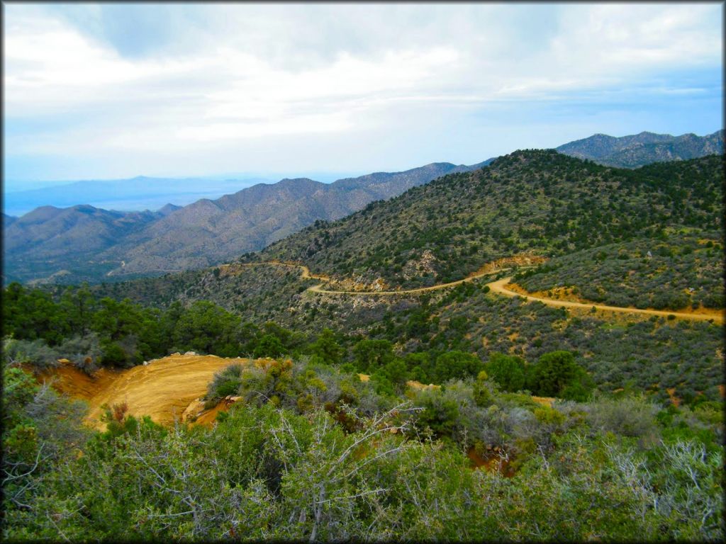 Chloride Mine Trails