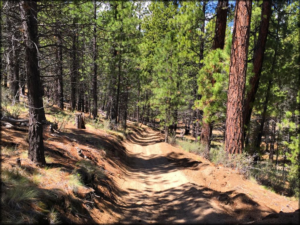 East Fort Rock OHV Trail System