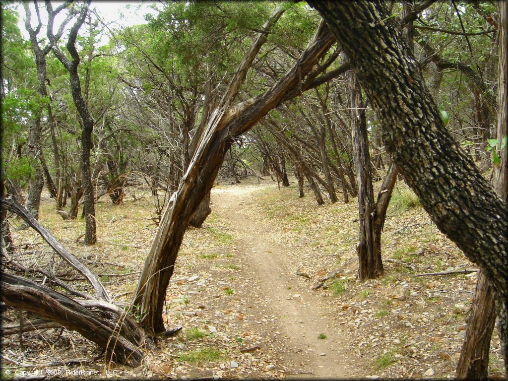 Terrain example at Emma Long Metropolitan Park Trail