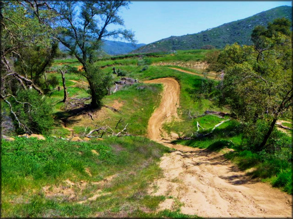 View of a motocross track turn with ruts and natural hills.