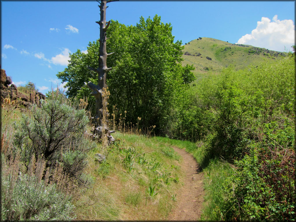 South Hills Trail