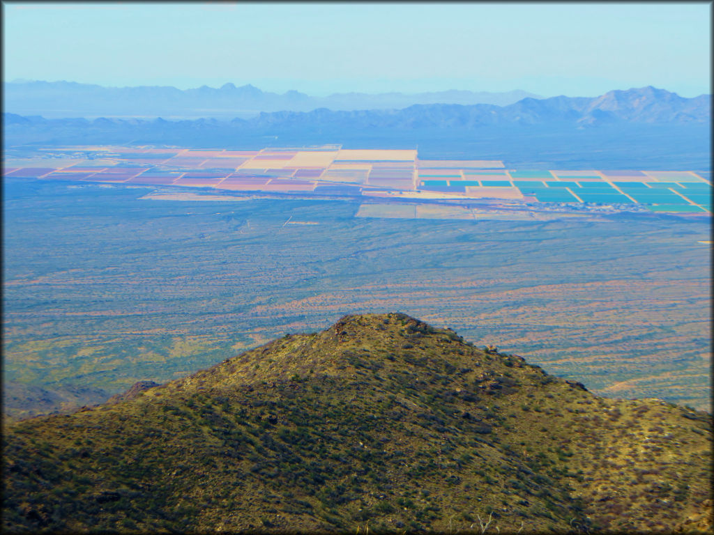 Harquahala Mountain Trail