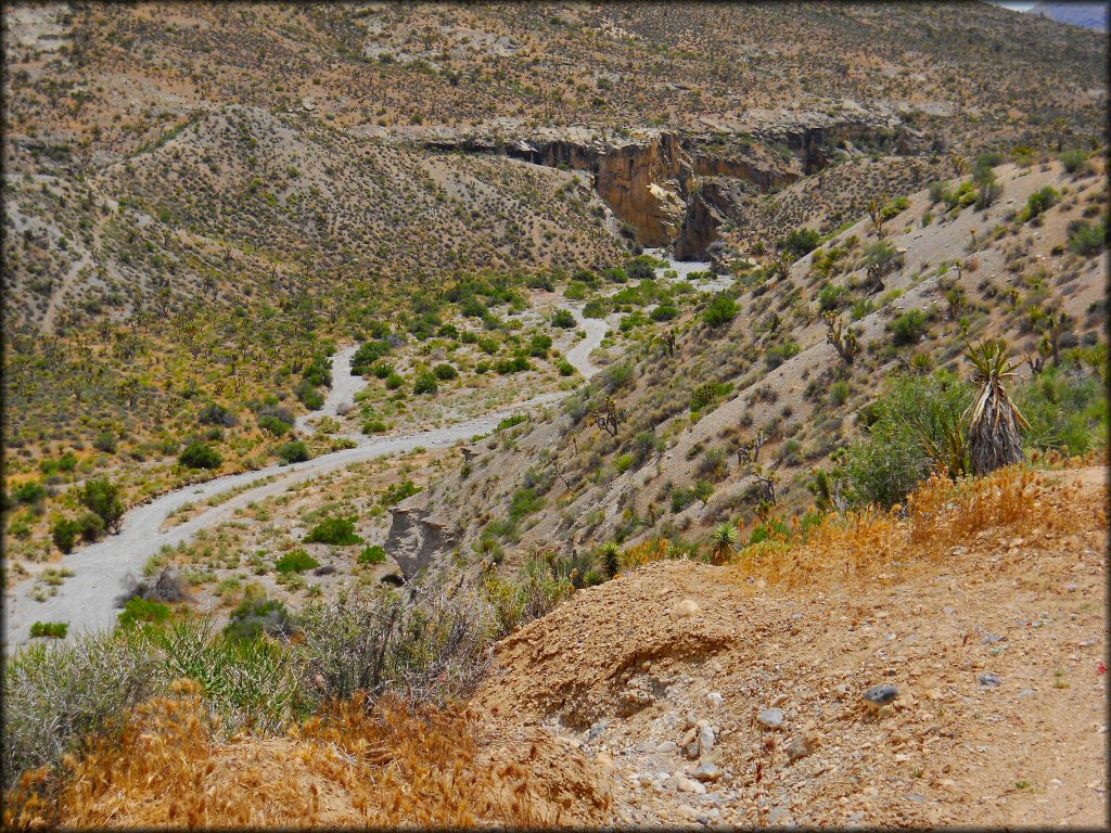 Scenery at Pahrump Trail