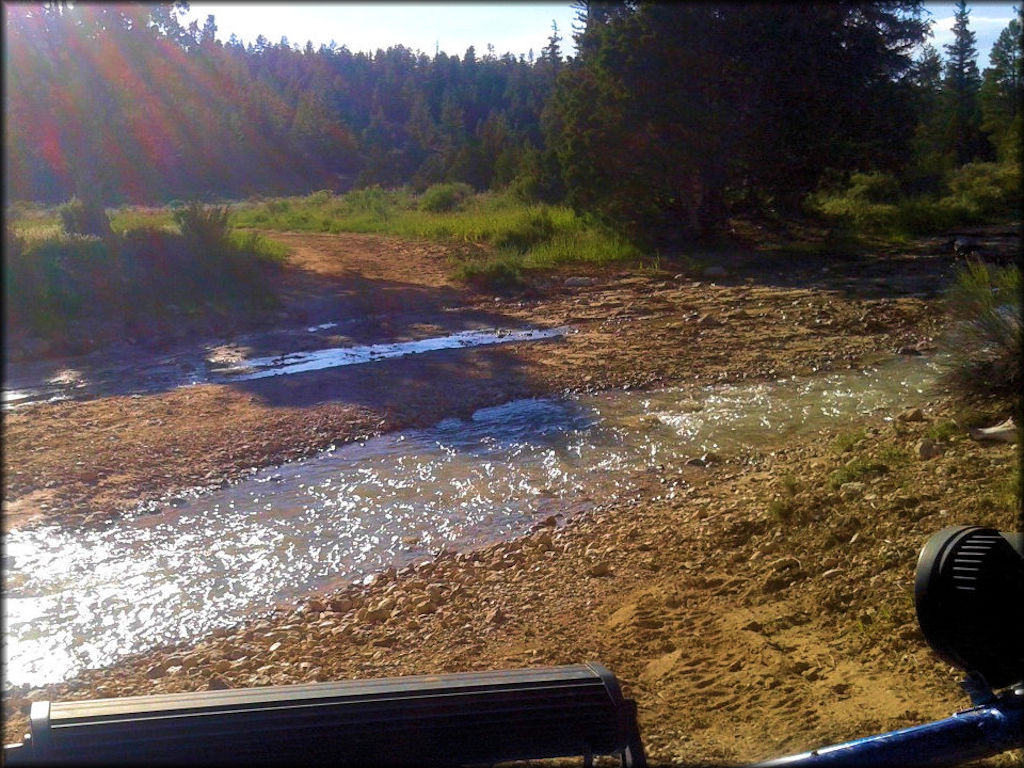 Pine Lake OHV Trail