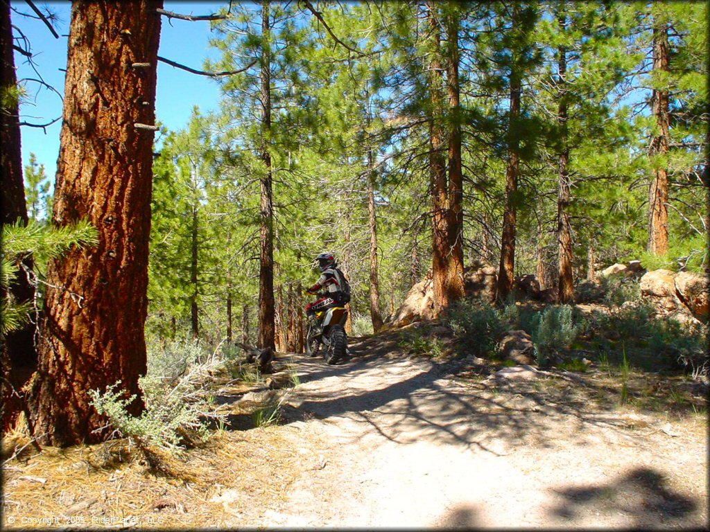 OHV at Mammoth Lakes Trail