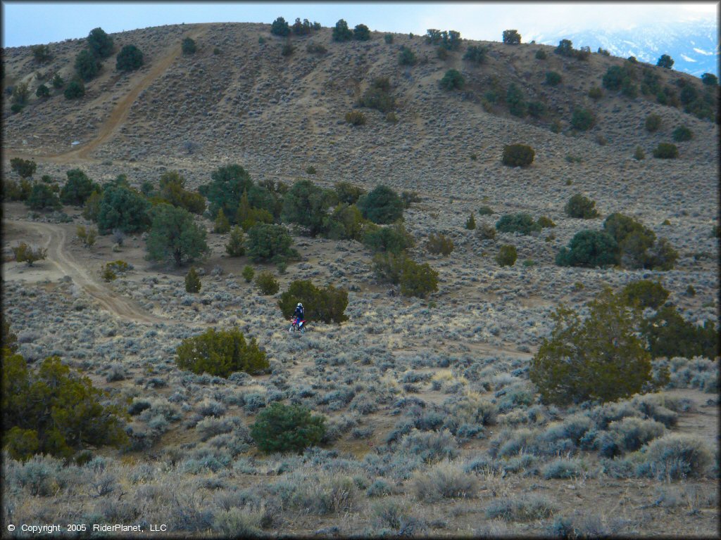 Honda CRF Motorcycle at Old Sheep Ranch Trail