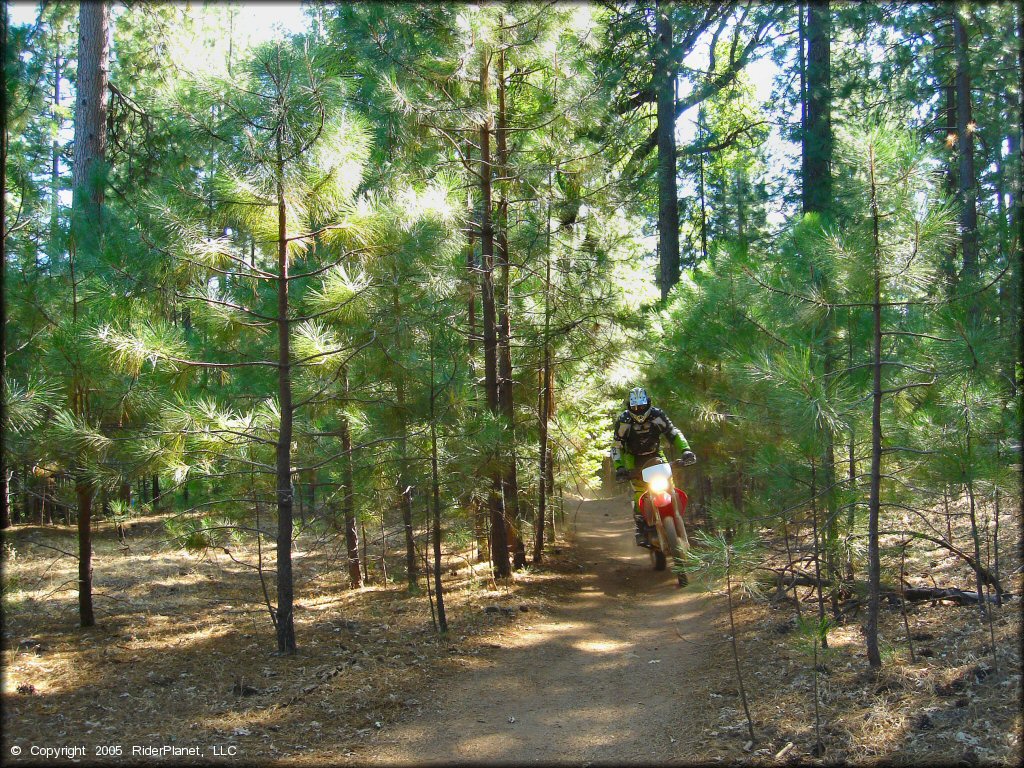 Honda CRF Motorcycle at Gold Note Trails