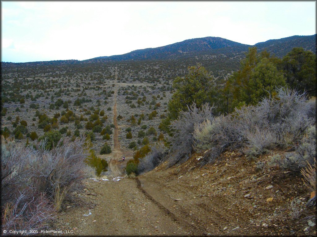 OHV at Old Sheep Ranch Trail