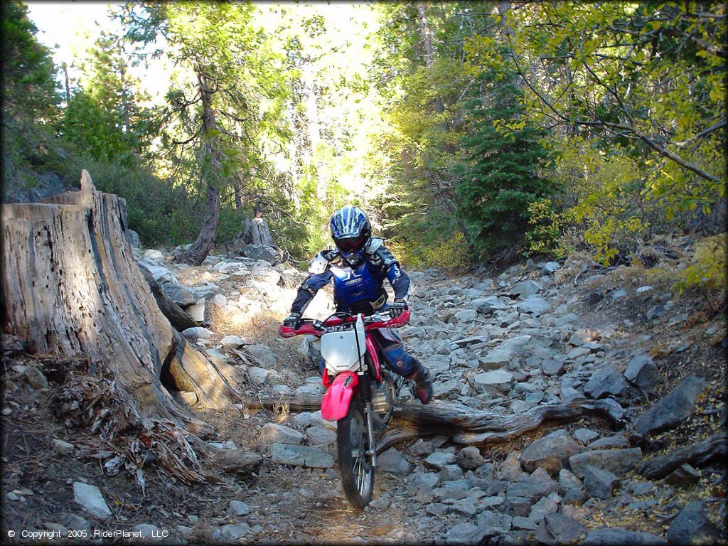 Honda CRF Dirtbike at Indian Springs Trail