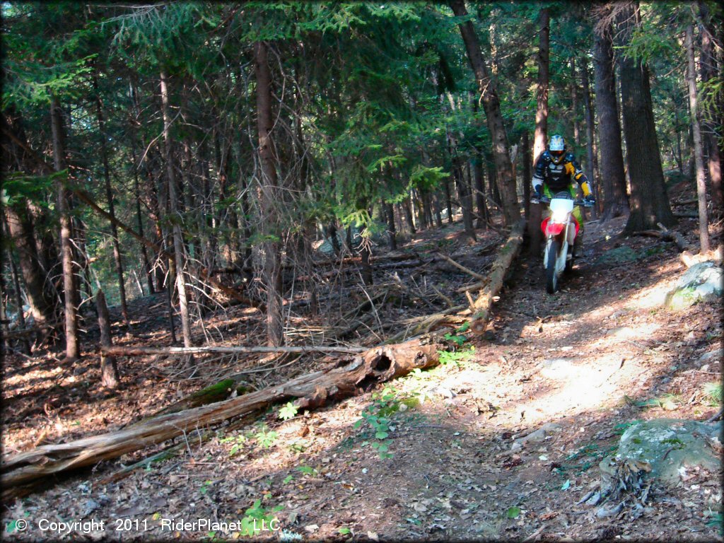 OHV at F. Gilbert Hills State Forest Trail