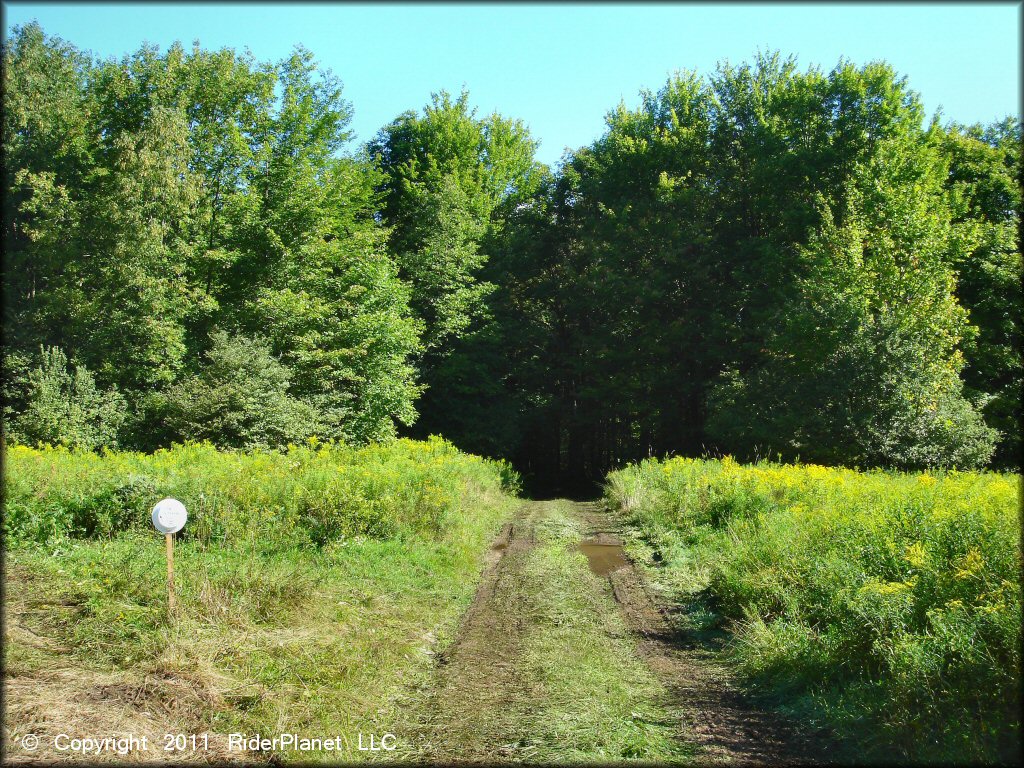 Example of terrain at Camden ATV Trail