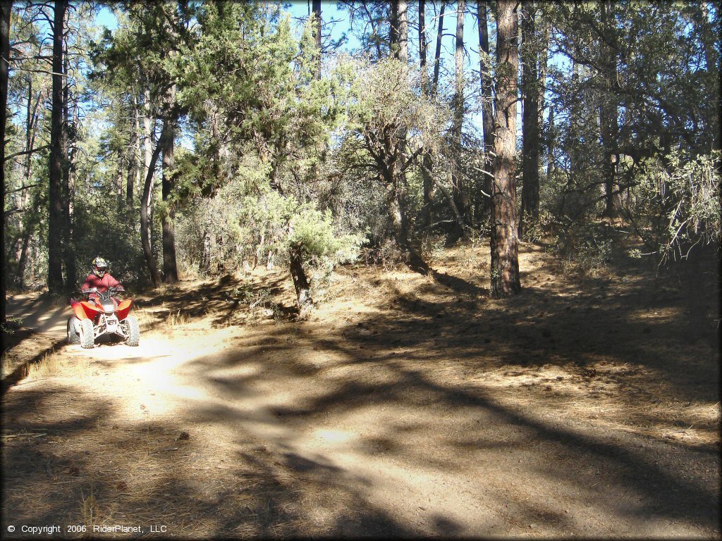 OHV at Alto Pit OHV Area Trail