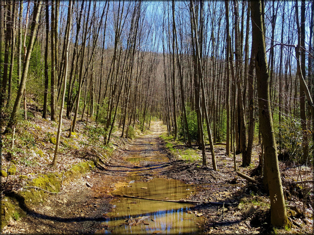 Snow Shoe Rails to Trails