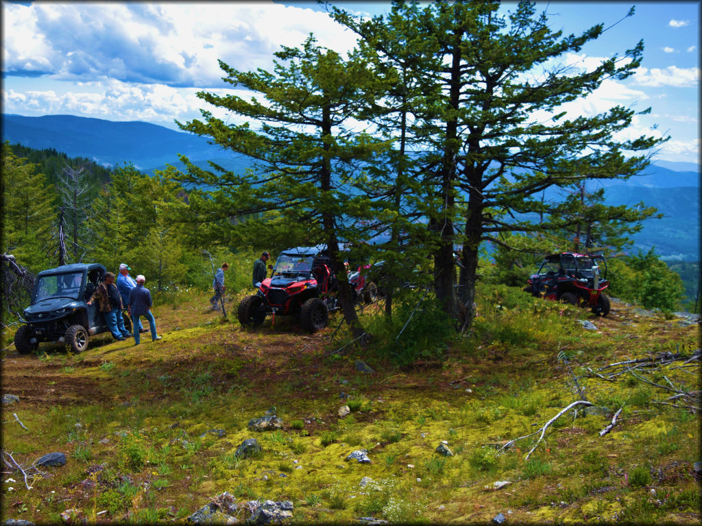 Owl Mountain Trail