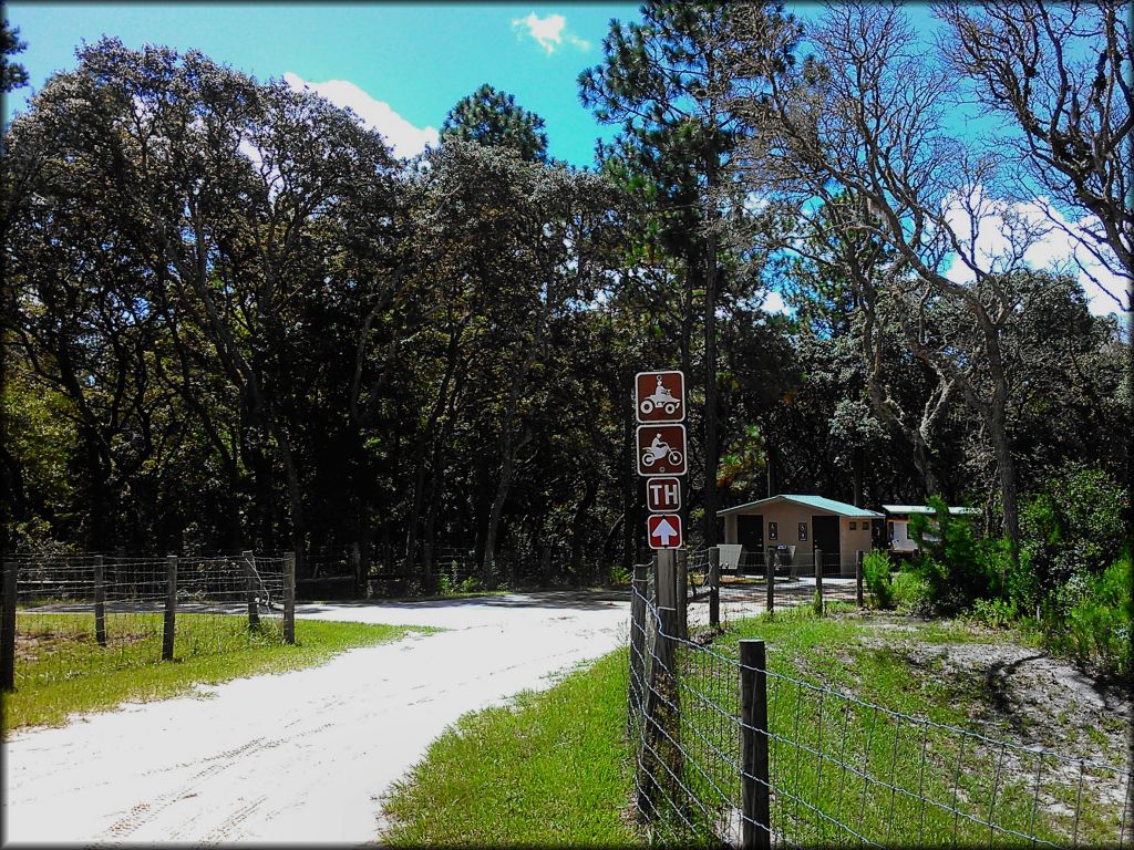 Wandering Wiregrass OHV Trail