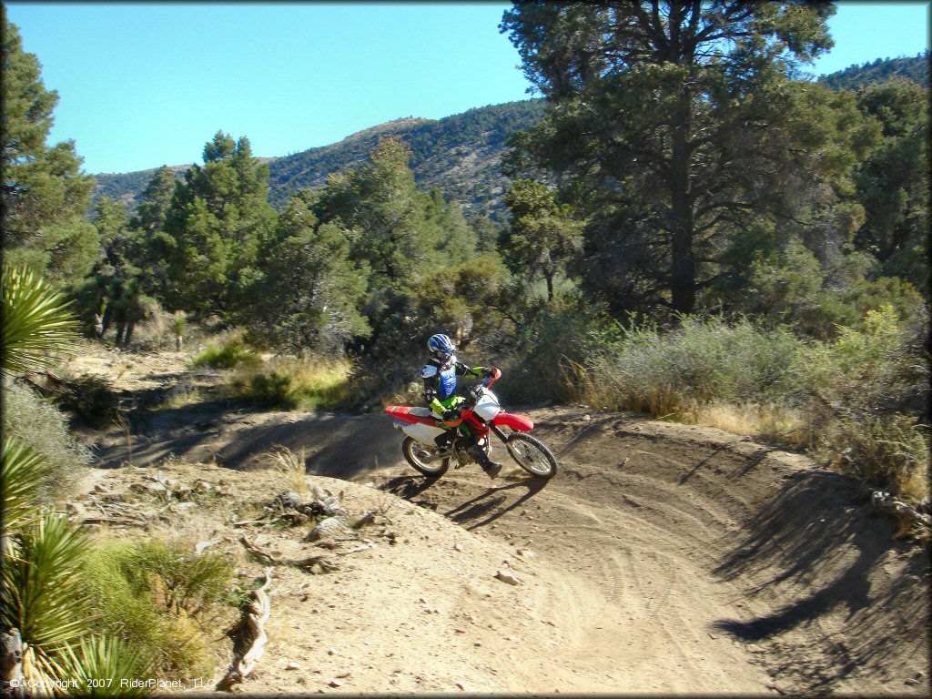 Woman on CRF150 wearing green and black Fox Racing motocross gear going through sandy trail with deep berms.